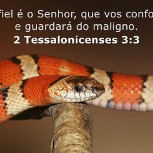24 Versículos da Bíblia sobre Segurança